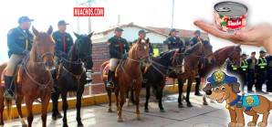 Hay nerviosismo en la población nacional por la desaparición de caballos y canes de la PNP Hay nerviosismo en la población nacional por la desaparición de caballos y canes de la PNP