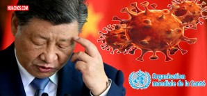 COVID19:La OMS pide de nuevo a los chinos que digan la verdad... con papeles COVID19:La OMS pide de nuevo a los chinos que digan la verdad... con papeles