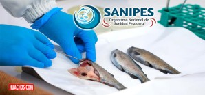 Lista de enfermedades infecciosas y especies susceptibles de los recursos hidrobiológicos Lista de enfermedades infecciosas y especies susceptibles de los recursos hidrobiológicos