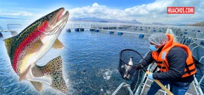 ¡A comprar y comer truchas se ha dicho! ¡A comprar y comer truchas se ha dicho!