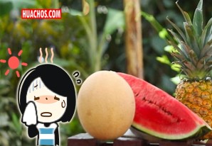 Conozca que frutas te mantienen saludable durante el verano Conozca que frutas te mantienen saludable durante el verano