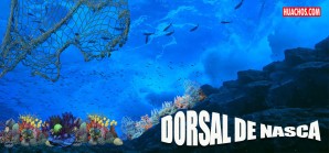 Dorsal de Nasca: Día decisivo para el futuro de las Áreas Protegidas en el Perú Dorsal de Nasca: Día decisivo para el futuro de las Áreas Protegidas en el Perú