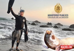 Ica: Fiscalía logra condena de seis meses de cárcel para pescador por crueldad contra lobo marino Ica: Fiscalía logra condena de seis meses de cárcel para pescador por crueldad contra lobo marino