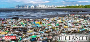 Los plásticos, son una amenaza para la salud que no está suficientemente reconocida | VIDEO Los plásticos, son una amenaza para la salud que no está suficientemente reconocida | VIDEO