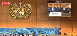 J. J. Santiváñez miente ante la ONU: asegura que Perú dio Ley de Amnistía por atentados terroristas J. J. Santiváñez miente ante la ONU: asegura que Perú dio Ley de Amnistía por atentados terroristas