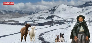 Las bajas temperaturas en el poblado andino alpaquero San José de Astobamba Las bajas temperaturas en el poblado andino alpaquero San José de Astobamba