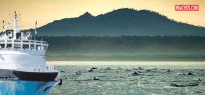 El verdadero equilibrio en nuestras areas naturales marinas protegidas El verdadero equilibrio en nuestras areas naturales marinas protegidas