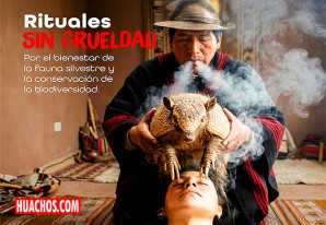 SERFOR alerta sobre el uso ilegal del quirquincho en rituales de buena suerte de fin de año SERFOR alerta sobre el uso ilegal del quirquincho en rituales de buena suerte de fin de año