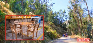 Madera de eucalipto demuestra potencial para la fabricación de muebles Madera de eucalipto demuestra potencial para la fabricación de muebles