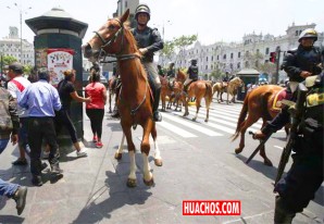 Poder Judicial prohíbe a la Policía peruana usar caballos en marchas y protestas Poder Judicial prohíbe a la Policía peruana usar caballos en marchas y protestas