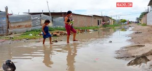 Perú supera los mil casos de leptospirosis y registra muertes en zonas afectadas por inundaciones Perú supera los mil casos de leptospirosis y registra muertes en zonas afectadas por inundaciones