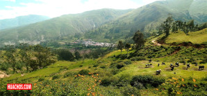 Un hijo del distrito de Huachos se recuerda de la Patria Chica | VIDEO Un hijo del distrito de Huachos se recuerda de la Patria Chica | VIDEO