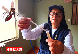 Minsa brinda recomendaciones para evitar la reproducción del zancudo en casa Minsa brinda recomendaciones para evitar la reproducción del zancudo en casa