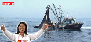 Congreso: Más de 400 científicos piden aprobar ley que protege áreas marinas de la pesca industrial Congreso: Más de 400 científicos piden aprobar ley que protege áreas marinas de la pesca industrial