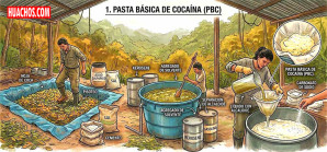 Los insumos químicos que alimentan las "cocinas" del negocio de la cocaína peruana Los insumos químicos que alimentan las "cocinas" del negocio de la cocaína peruana