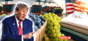 Arándanos, uvas y polos de algodón: los productos peruanos más afectados por el arancel de 12,5% de Trump Arándanos, uvas y polos de algodón: los productos peruanos más afectados por el arancel de 12,5% de Trump