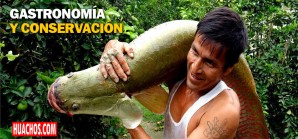 Proyecto peruano sobre alimentación sostenible compite en certamen internacional - VIDEOS Proyecto peruano sobre alimentación sostenible compite en certamen internacional - VIDEOS