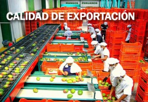Exportaciones agrarias crecerían 7% este año por más envíos a China, EEUU y Canadá Exportaciones agrarias crecerían 7% este año por más envíos a China, EEUU y Canadá