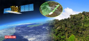 Tecnología japonesa contribuye en la conservación de bosques de Perú | VIDEO Tecnología japonesa contribuye en la conservación de bosques de Perú | VIDEO