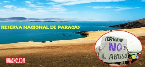 La guerra está declarada entre la SERNANP y los operadores turísticos de Paracas La guerra está declarada entre la SERNANP y los operadores turísticos de Paracas