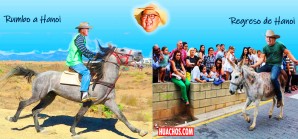 Las cumbres de Donald y Kim: Carrera de caballo, parada de burro | VIDEO Las cumbres de Donald y Kim: Carrera de caballo, parada de burro | VIDEO