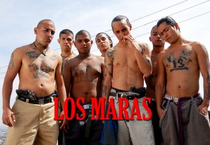 Violencia extrema en El Salvador. En solo 24 horas hubo 51 muertes de tipo criminal Violencia extrema en El Salvador. En solo 24 horas hubo 51 muertes de tipo criminal