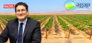 El departamento de Ica 2019, es la cuna del agro costeño El departamento de Ica 2019, es la cuna del agro costeño