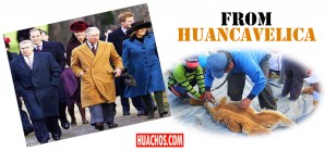 Región Huancavelica acopia 324.5 kilos de fibra de vicuña en el chaccus del 2017 - VIDEO Región Huancavelica acopia 324.5 kilos de fibra de vicuña en el chaccus del 2017 - VIDEO