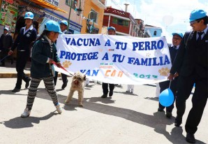 Diresa Huancavelica lanza campaña de vacunación a 68,500 canes de la región Diresa Huancavelica lanza campaña de vacunación a 68,500 canes de la región