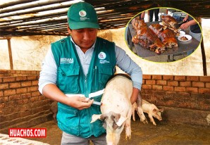 Ya se puede comer chicharrones y lechones con tranquilidad y confianza en Ica Ya se puede comer chicharrones y lechones con tranquilidad y confianza en Ica