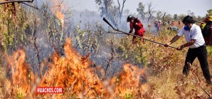 Arde Bolivia Arde Bolivia