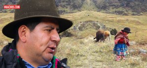 «El Terminator» cholo de la anemia y la desnutrición crónica en Huancavelica «El Terminator» cholo de la anemia y la desnutrición crónica en Huancavelica