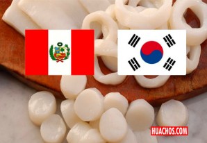 Corea del Sur se convirtió en el tercer mercado de las exportaciones peruanas Corea del Sur se convirtió en el tercer mercado de las exportaciones peruanas