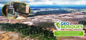 Geobosques forma parte de la categoría Gestión Ambiental Efectiva Geobosques forma parte de la categoría Gestión Ambiental Efectiva