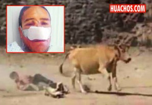 Regidor de Punchaypampa tendrá que pasar Año Nuevo postrado en su catre Regidor de Punchaypampa tendrá que pasar Año Nuevo postrado en su catre