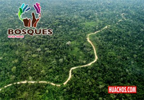 MINAM presenta datos sobre apertura de caminos en el bosque amazónico MINAM presenta datos sobre apertura de caminos en el bosque amazónico