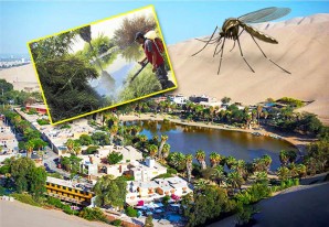 Fumigación en Huacachina por aparición de zancudos transmisores del dengue Fumigación en Huacachina por aparición de zancudos transmisores del dengue