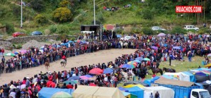 Carreras de caballo son muy populares pero la seguridad del público es lo de menos | VIDEO Carreras de caballo son muy populares pero la seguridad del público es lo de menos | VIDEO