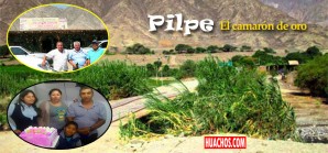 Muere «Pilpe» el popular camaronero del caserío de Alloque, San Juan de Chincha Muere «Pilpe» el popular camaronero del caserío de Alloque, San Juan de Chincha