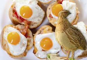 Los huevos de codorniz, un producto interesante que recibe ayuda de la Muni Huancavelica Los huevos de codorniz, un producto interesante que recibe ayuda de la Muni Huancavelica