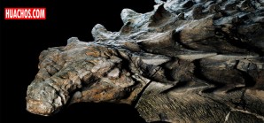 El alucinante fósil de dinosaurio mejor preservado ve la luz en Canadá El alucinante fósil de dinosaurio mejor preservado ve la luz en Canadá