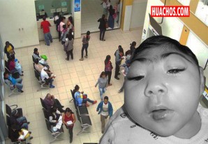 Reportan primer caso de bebé con microcefalia por el virus del zika en Chincha Reportan primer caso de bebé con microcefalia por el virus del zika en Chincha