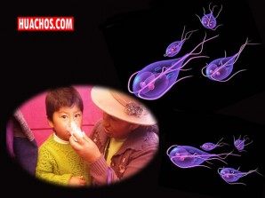 Miles de niños huancavelicanos tienen parasitosis intestinal Miles de niños huancavelicanos tienen parasitosis intestinal