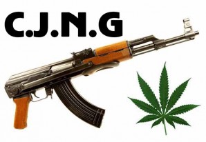 Emboscada fatal. El Cartel Jalisco Nueva Generación asesina 15 policías Emboscada fatal. El Cartel Jalisco Nueva Generación asesina 15 policías