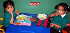 Anemia, es la falta de hierro de procedencia animal en la sangre del anémico Anemia, es la falta de hierro de procedencia animal en la sangre del anémico