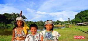 Comunidades nativas impulsan la conservación de bosques Comunidades nativas impulsan la conservación de bosques