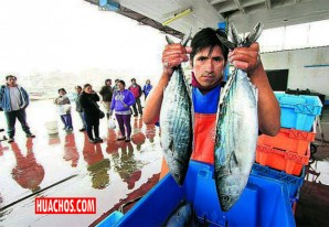 Pescadores rechazan veda de bonito y exigen se cumplan las 5 millas para pesca artesanal Pescadores rechazan veda de bonito y exigen se cumplan las 5 millas para pesca artesanal