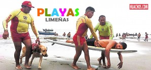 Policía de Salvataje rescata a 791 bañistas en lo que va del verano Policía de Salvataje rescata a 791 bañistas en lo que va del verano
