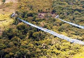 Buena noticia para los narcos. Colombia puede nadar en coca Buena noticia para los narcos. Colombia puede nadar en coca