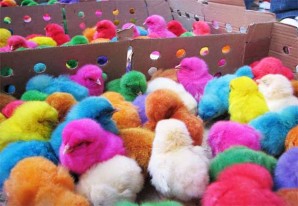 Todos los golpes son permitidos cuando se trata del afán de lucro - VIDEO Todos los golpes son permitidos cuando se trata del afán de lucro - VIDEO